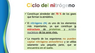  Constituye alrededor del 78 % de los gases
que forman la atmósfera.
 El nitrógeno (N) es uno de los elementos
más importantes, ya que constituye la
estructura de proteínas y ácidos
nucleicos de los seres vivos.
 La mayoría de los organismos no pueden
captar nitrógeno atmosférico y se utiliza
solamente una pequeña parte, que se
encuentra en el suelo.
Ciclo del nitrógeno
 
