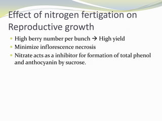 Nitrogen Suppy To Improve Vine Balance