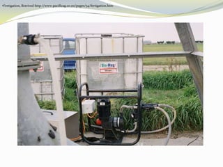 Nitrogen Suppy To Improve Vine Balance