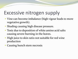 Nitrogen Suppy To Improve Vine Balance