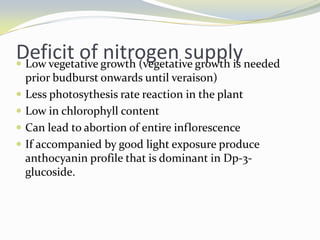 Nitrogen Suppy To Improve Vine Balance