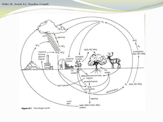 Keller, M., Arnink, K.J., Hrazdina, G.(1998).Vine Nitrogen CycleWhite, E.R. (2003). Soils for Fine Wines. New York: Oxford University PressVine BalanceRichard Smart GuidelinesVisual analysisCanopy ideotypeVineyard scorecardPoint quadrat