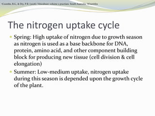Effect of nitrogen fertigation on Reproductive growthHigh berry number per bunch  High yieldMinimize inflorescence necrosisNitrate acts as a inhibitor for formation of total phenol and anthocyanin by sucrose.