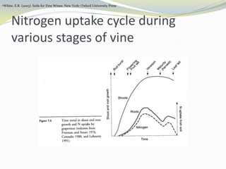 Sunburn!!Winery & Vineyard, http://www.practicalwinery.com/SeptOct05/septoct05p24.htmWinery & Vineyard, http://www.practicalwinery.com/SeptOct05/septoct05p24.htmDeficit of nitrogen supplyLow vegetative growth (vegetative growth is needed prior budburst onwards until veraison)Less photosythesis rate reaction in the plantLow in chlorophyll contentCan lead to abortion of entire inflorescenceIf accompanied by good light exposure produce anthocyanin profile that is dominant in Dp-3-glucoside.