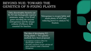 QTL for Nitrogen use efficiency in plants | PPTX