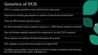 QTL for Nitrogen use efficiency in plants | PPTX