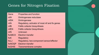 QTL for Nitrogen use efficiency in plants | PPTX