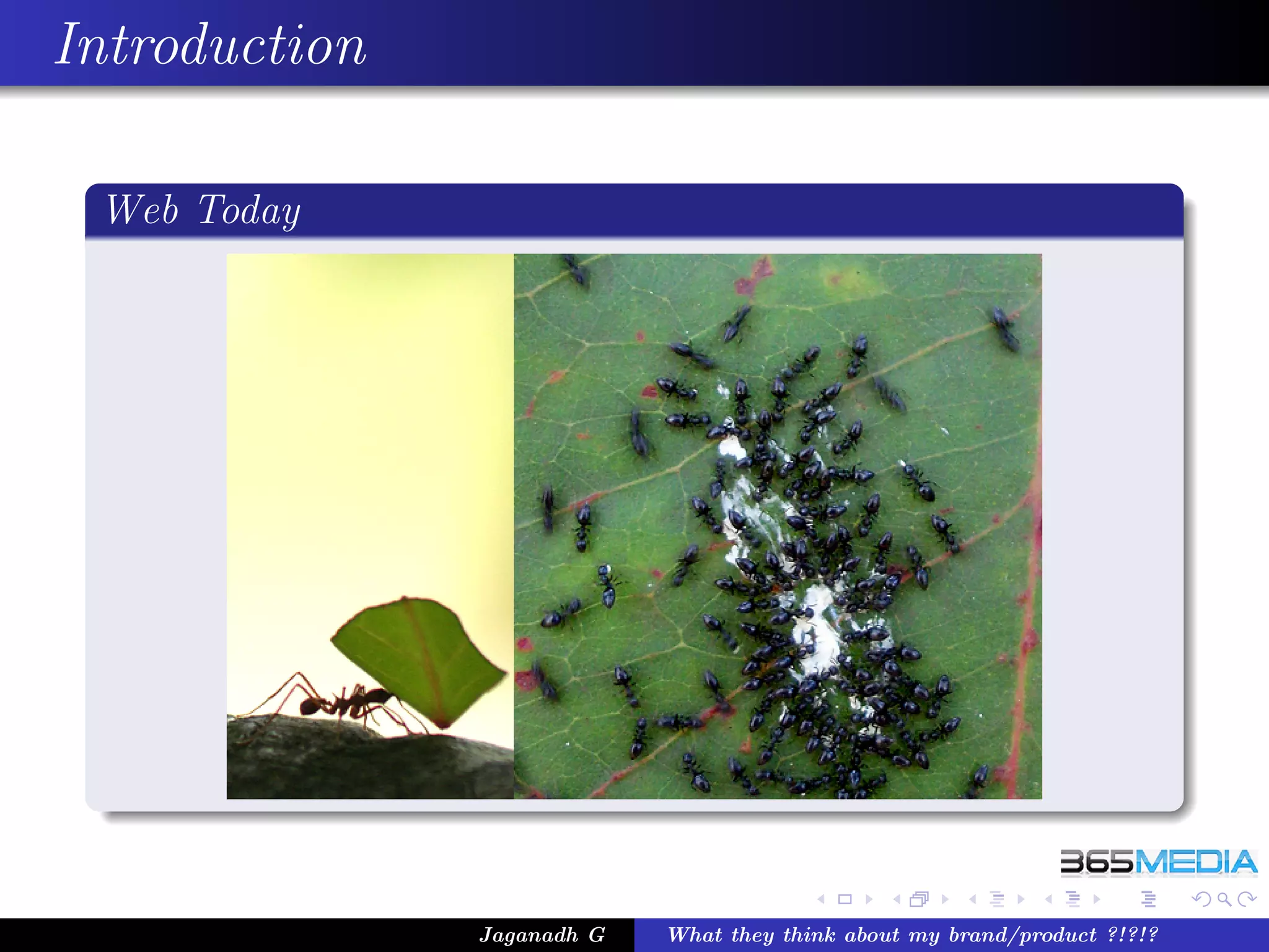 Introduction

 Web Today




               Jaganadh G   What they think about my brand/product ?!?!?
 