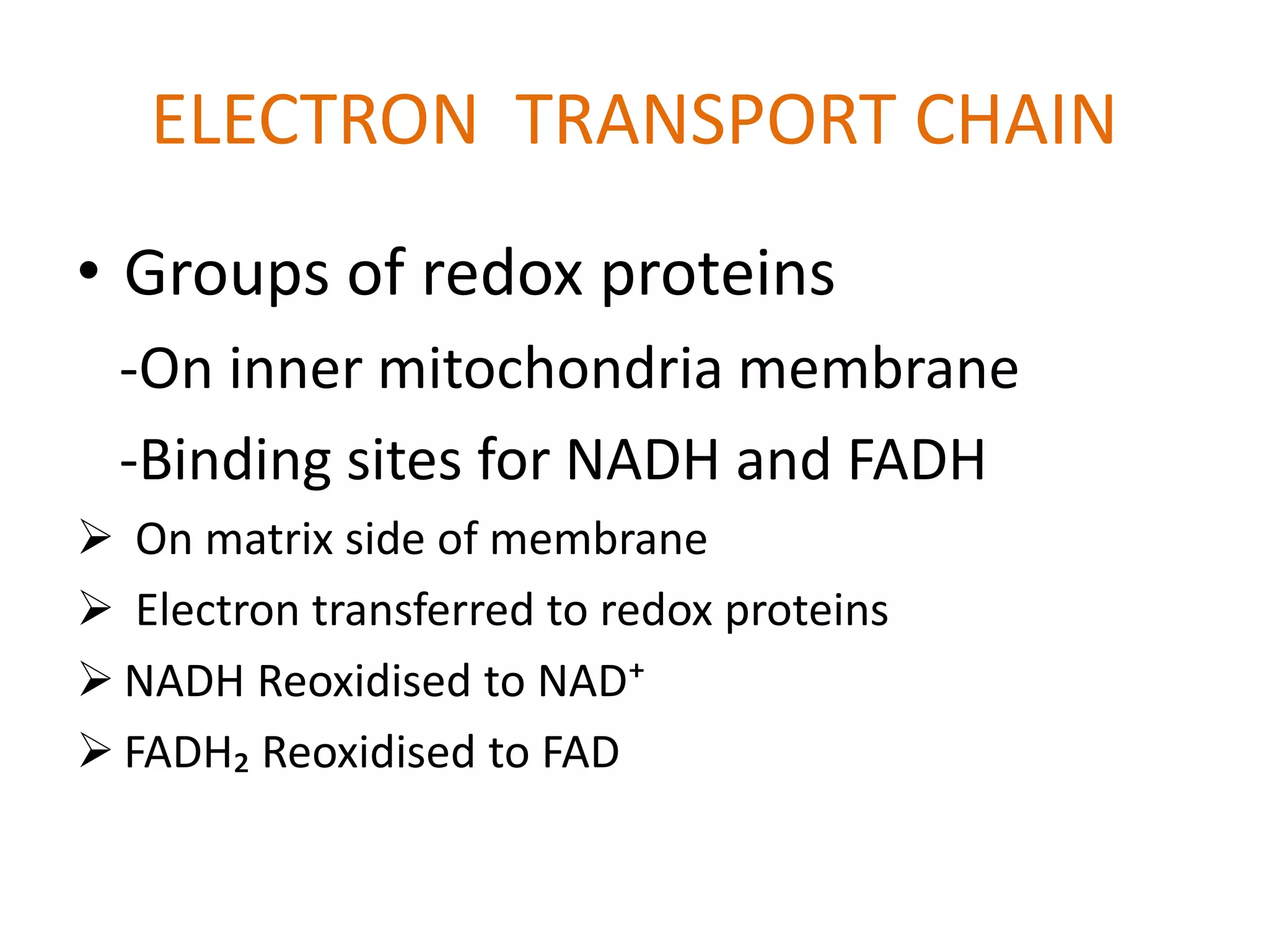 ELECTRON TRANSPORT CHAIN ' ETS ' | PPTX
