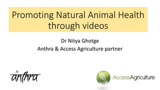 Promoting Natural Animal Health
through videos
Dr Nitya Ghotge
Anthra & Access Agriculture partner
 