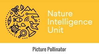 Nature Intelligence Unit
Picture Pollinator
 