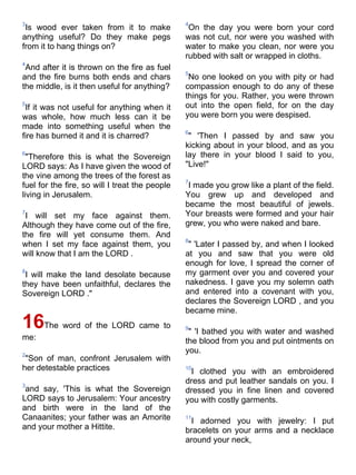 Niv bible-pdf