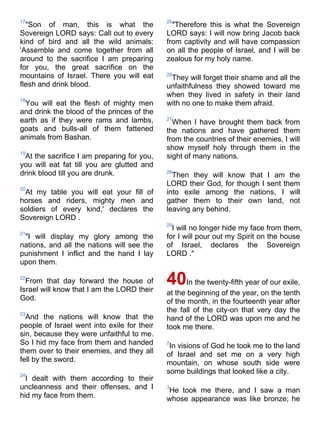 Niv bible-pdf