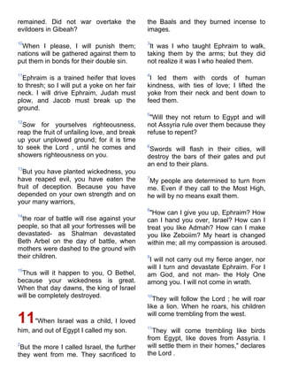 Niv bible-pdf