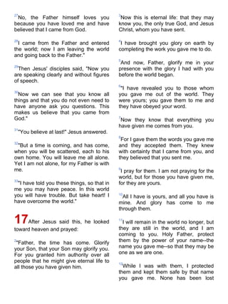 Niv bible-pdf