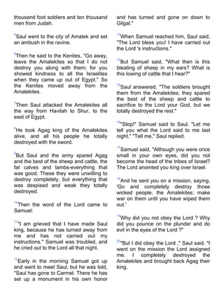 Niv bible-pdf