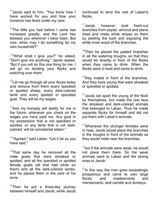 29
   Jacob said to him, "You know how I          continued to tend the rest of Laban's
have worked for you and how your               flocks.
livestock has fared under my care.
                                               37
                                                 Jacob, however, took fresh-cut
30
  The little you had before I came has         branches from poplar, almond and plane
increased greatly, and the Lord has            trees and made white stripes on them
blessed you wherever I have been. But          by peeling the bark and exposing the
now, when may I do something for my            white inner wood of the branches.
own household?"
                                               38
                                                 Then he placed the peeled branches
31
  "What shall I give you?" he asked.           in all the watering troughs, so that they
"Don't give me anything," Jacob replied.       would be directly in front of the flocks
"But if you will do this one thing for me, I   when they came to drink. When the
will go on tending your flocks and             flocks were in heat and came to drink,
watching over them:
                                               39
                                                they mated in front of the branches.
32
  Let me go through all your flocks today      And they bore young that were streaked
and remove from them every speckled            or speckled or spotted.
or spotted sheep, every dark-colored
lamb and every spotted or speckled             40
                                                 Jacob set apart the young of the flock
goat. They will be my wages.                   by themselves, but made the rest face
                                               the streaked and dark-colored animals
33
  And my honesty will testify for me in        that belonged to Laban. Thus he made
the future, whenever you check on the          separate flocks for himself and did not
wages you have paid me. Any goat in            put them with Laban's animals.
my possession that is not speckled or
spotted, or any lamb that is not dark-         41
                                                 Whenever the stronger females were
colored, will be considered stolen."           in heat, Jacob would place the branches
                                               in the troughs in front of the animals so
34
 "Agreed," said Laban. "Let it be as you       they would mate near the branches,
have said."
                                               42
                                                but if the animals were weak, he would
35
  That same day he removed all the             not place them there. So the weak
male goats that were streaked or               animals went to Laban and the strong
spotted, and all the speckled or spotted       ones to Jacob.
female goats (all that had white on
them) and all the dark-colored lambs,          43
                                                 In this way the man grew exceedingly
and he placed them in the care of his          prosperous and came to own large
sons.                                          flocks,    and     maidservants   and
                                               menservants, and camels and donkeys.
36
 Then he put a three-day journey
between himself and Jacob, while Jacob
 