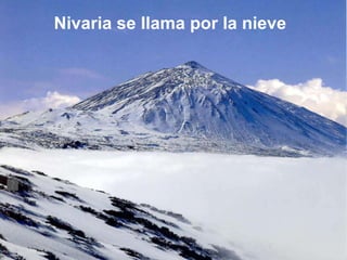 Nivaria se llama por la nieve 