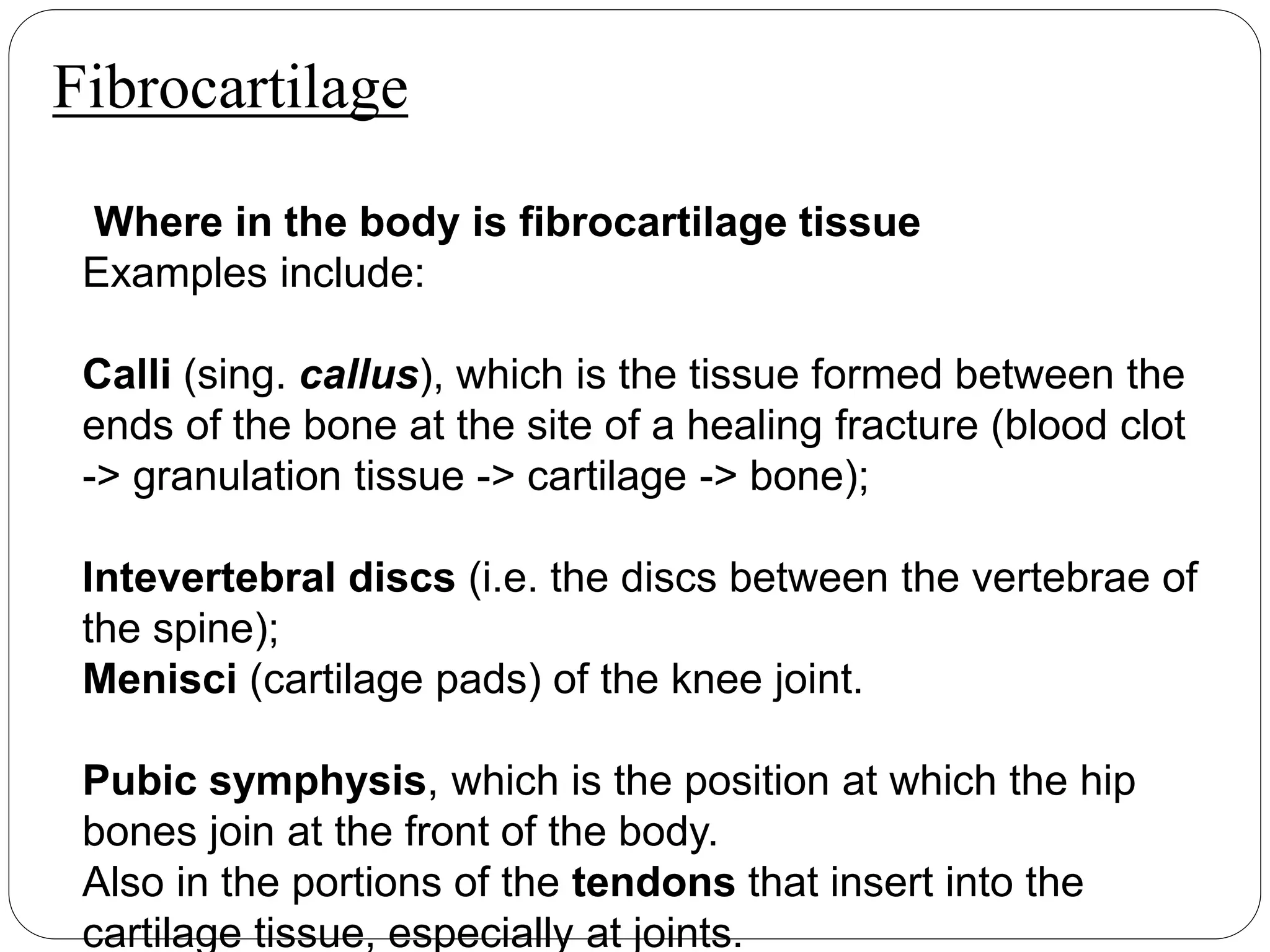 Fibrocartilage
Where in the body is fibrocartilage tissue
Examples include:
Calli (sing. callus), which is the tissue formed between the
ends of the bone at the site of a healing fracture (blood clot
-> granulation tissue -> cartilage -> bone);
Intevertebral discs (i.e. the discs between the vertebrae of
the spine);
Menisci (cartilage pads) of the knee joint.
Pubic symphysis, which is the position at which the hip
bones join at the front of the body.
Also in the portions of the tendons that insert into the
cartilage tissue, especially at joints.
 