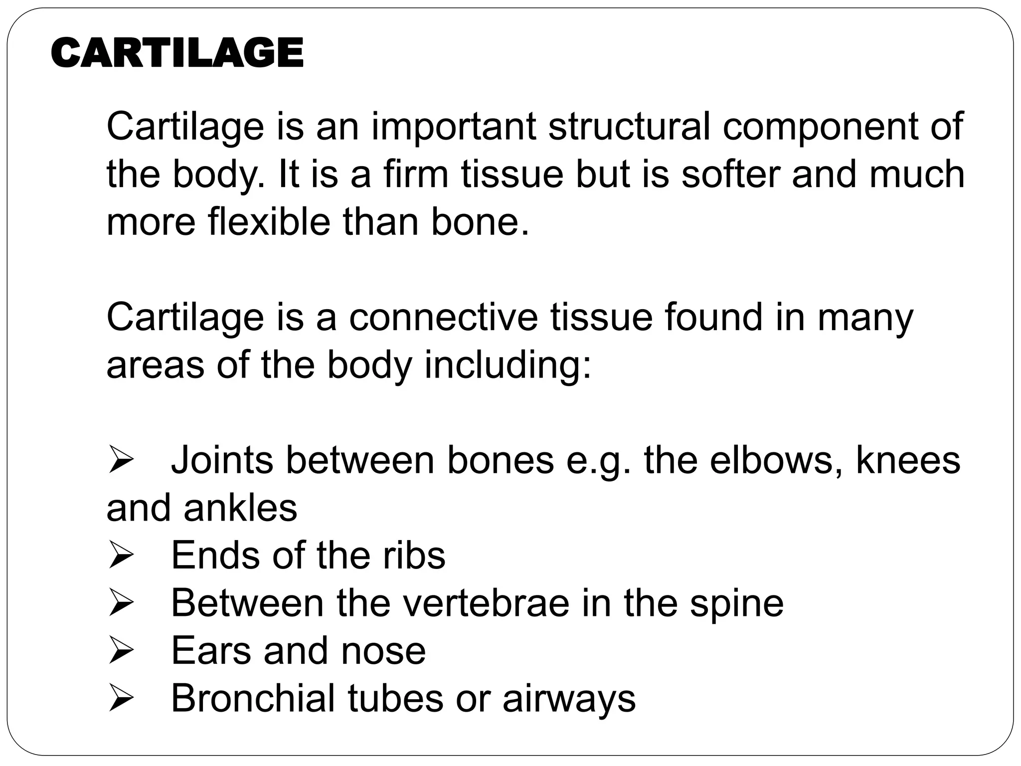 Cartilage is an important structural component of
the body. It is a firm tissue but is softer and much
more flexible than bone.
Cartilage is a connective tissue found in many
areas of the body including:
 Joints between bones e.g. the elbows, knees
and ankles
 Ends of the ribs
 Between the vertebrae in the spine
 Ears and nose
 Bronchial tubes or airways
CARTILAGE
 