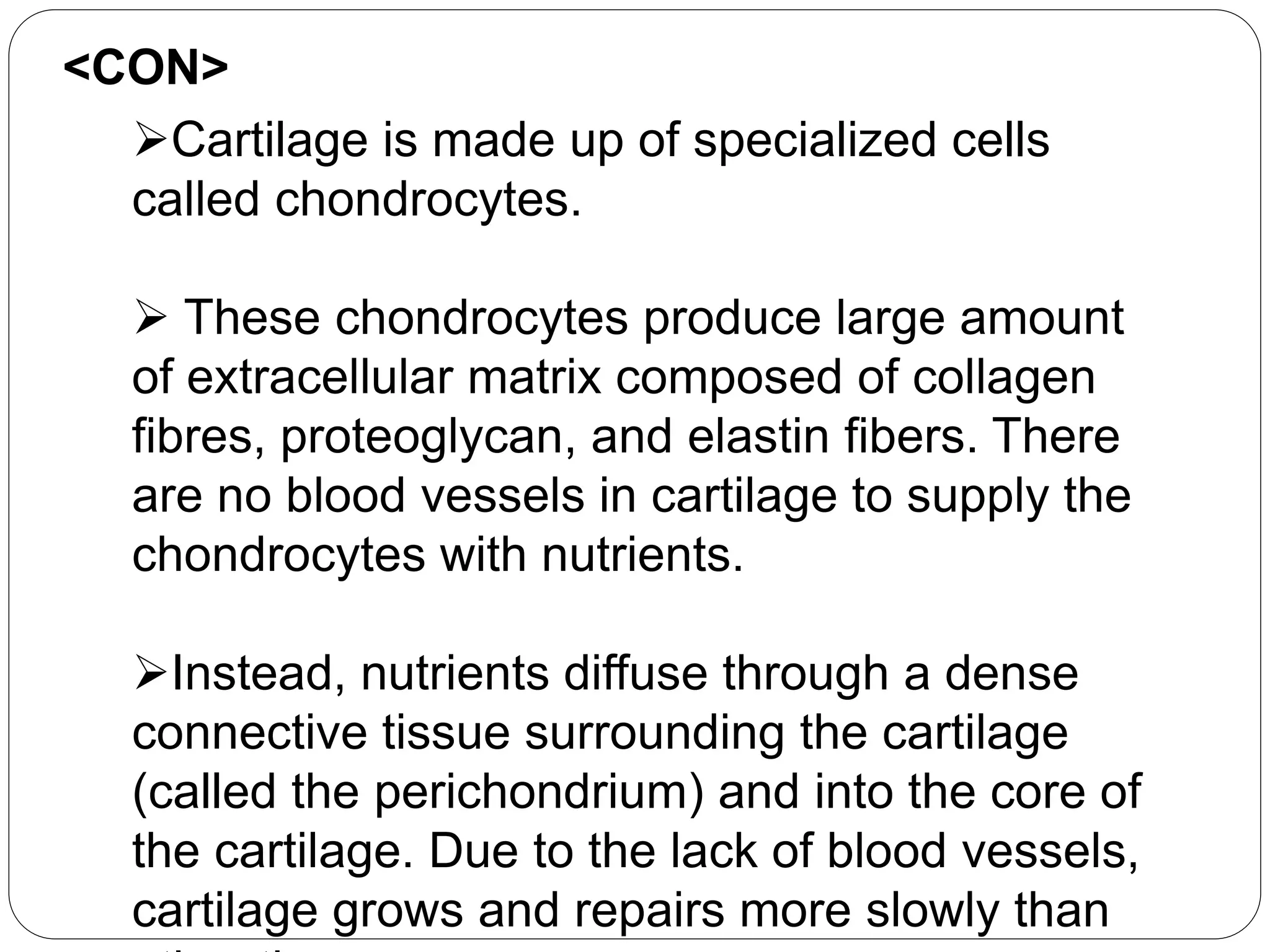Cartilage is made up of specialized cells
called chondrocytes.
 These chondrocytes produce large amount
of extracellular matrix composed of collagen
fibres, proteoglycan, and elastin fibers. There
are no blood vessels in cartilage to supply the
chondrocytes with nutrients.
Instead, nutrients diffuse through a dense
connective tissue surrounding the cartilage
(called the perichondrium) and into the core of
the cartilage. Due to the lack of blood vessels,
cartilage grows and repairs more slowly than
<CON>
 