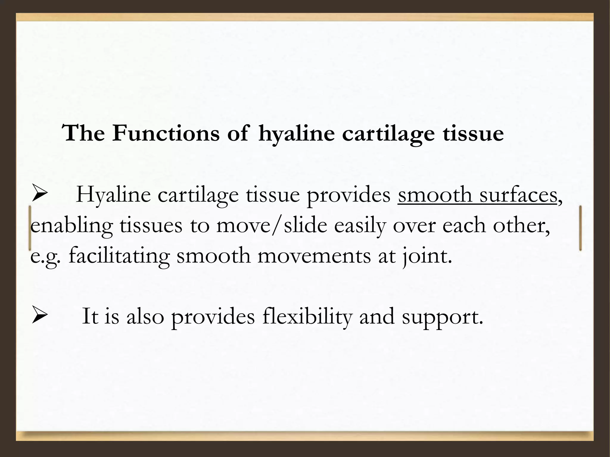 The Functions of hyaline cartilage tissue
 Hyaline cartilage tissue provides smooth surfaces,
enabling tissues to move/slide easily over each other,
e.g. facilitating smooth movements at joint.
 It is also provides flexibility and support.
 