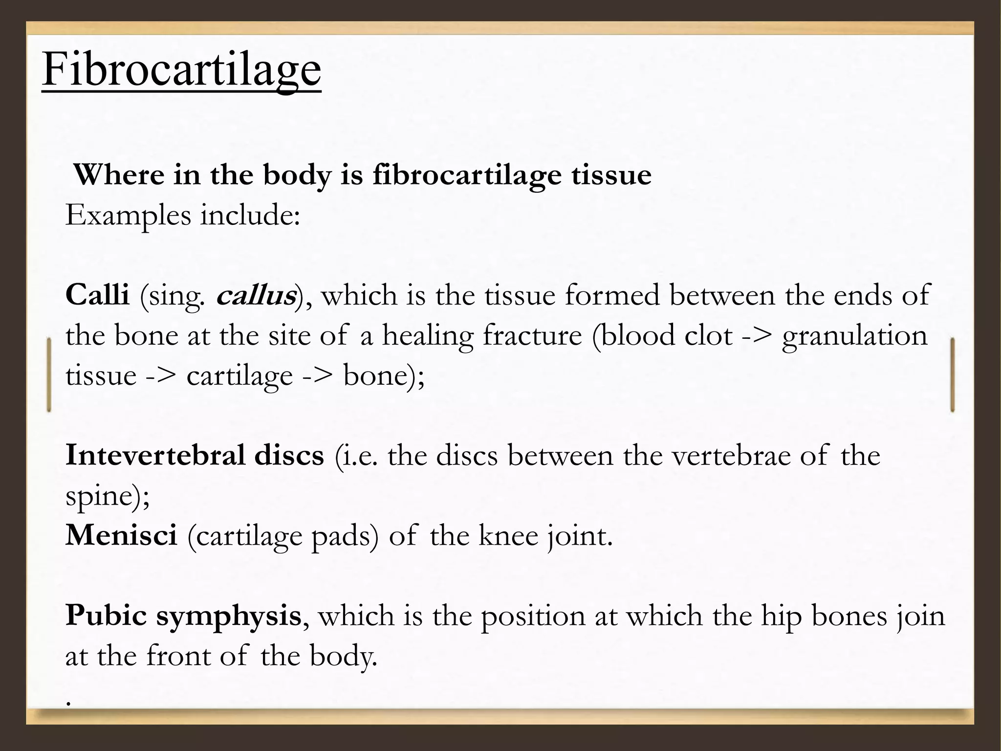 Fibrocartilage
Where in the body is fibrocartilage tissue
Examples include:
Calli (sing. callus), which is the tissue formed between the ends of
the bone at the site of a healing fracture (blood clot -> granulation
tissue -> cartilage -> bone);
Intevertebral discs (i.e. the discs between the vertebrae of the
spine);
Menisci (cartilage pads) of the knee joint.
Pubic symphysis, which is the position at which the hip bones join
at the front of the body.
.
 