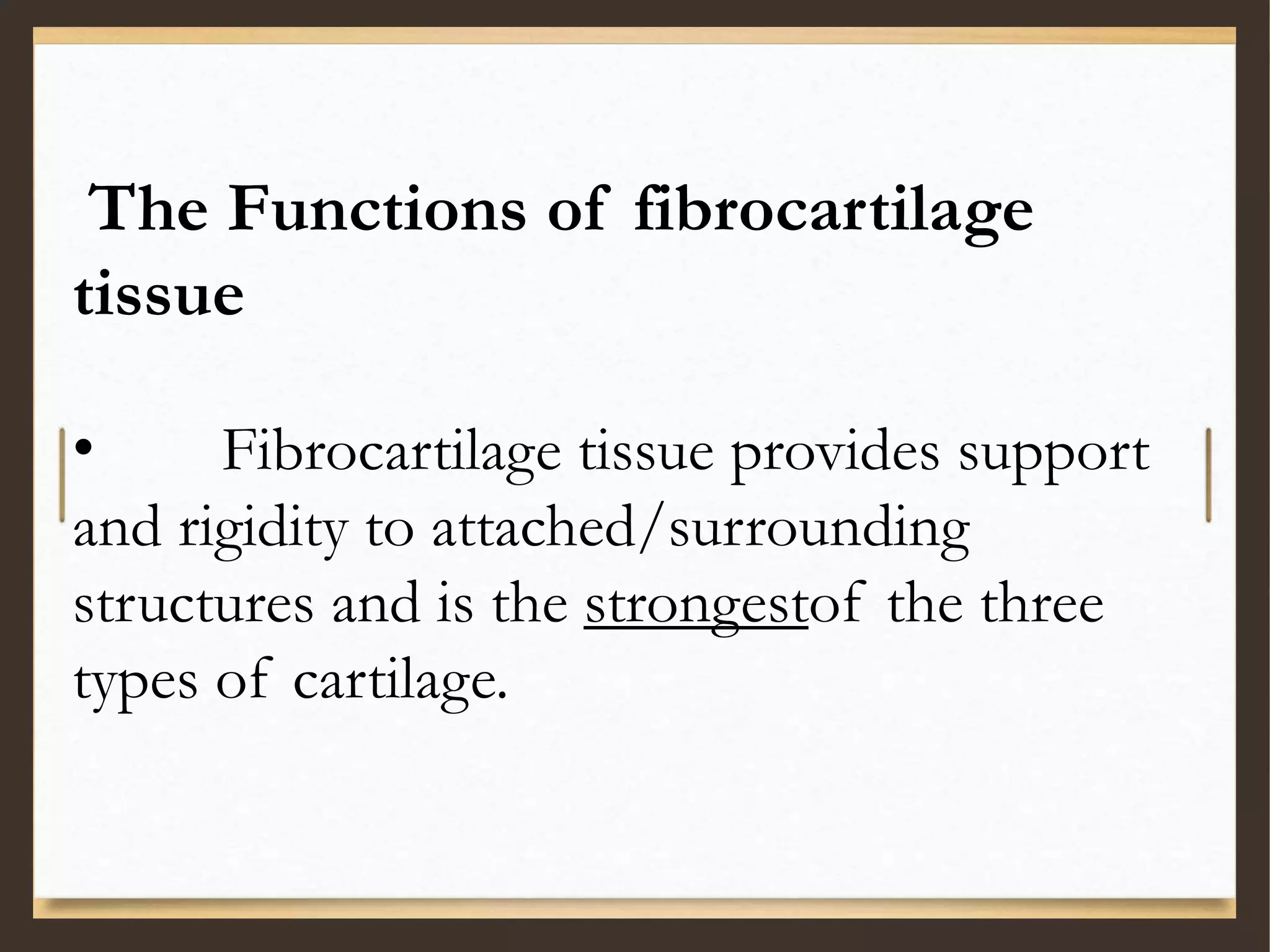 The Functions of fibrocartilage
tissue
• Fibrocartilage tissue provides support
and rigidity to attached/surrounding
structures and is the strongestof the three
types of cartilage.
 