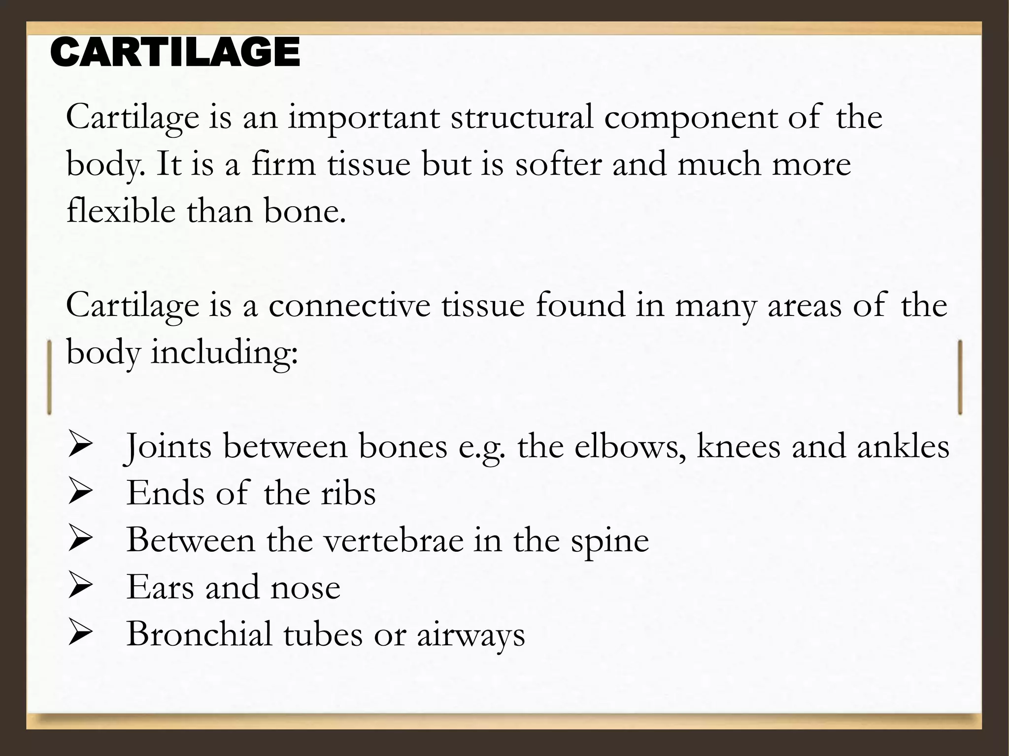 Cartilage is an important structural component of the
body. It is a firm tissue but is softer and much more
flexible than bone.
Cartilage is a connective tissue found in many areas of the
body including:
 Joints between bones e.g. the elbows, knees and ankles
 Ends of the ribs
 Between the vertebrae in the spine
 Ears and nose
 Bronchial tubes or airways
CARTILAGE
 