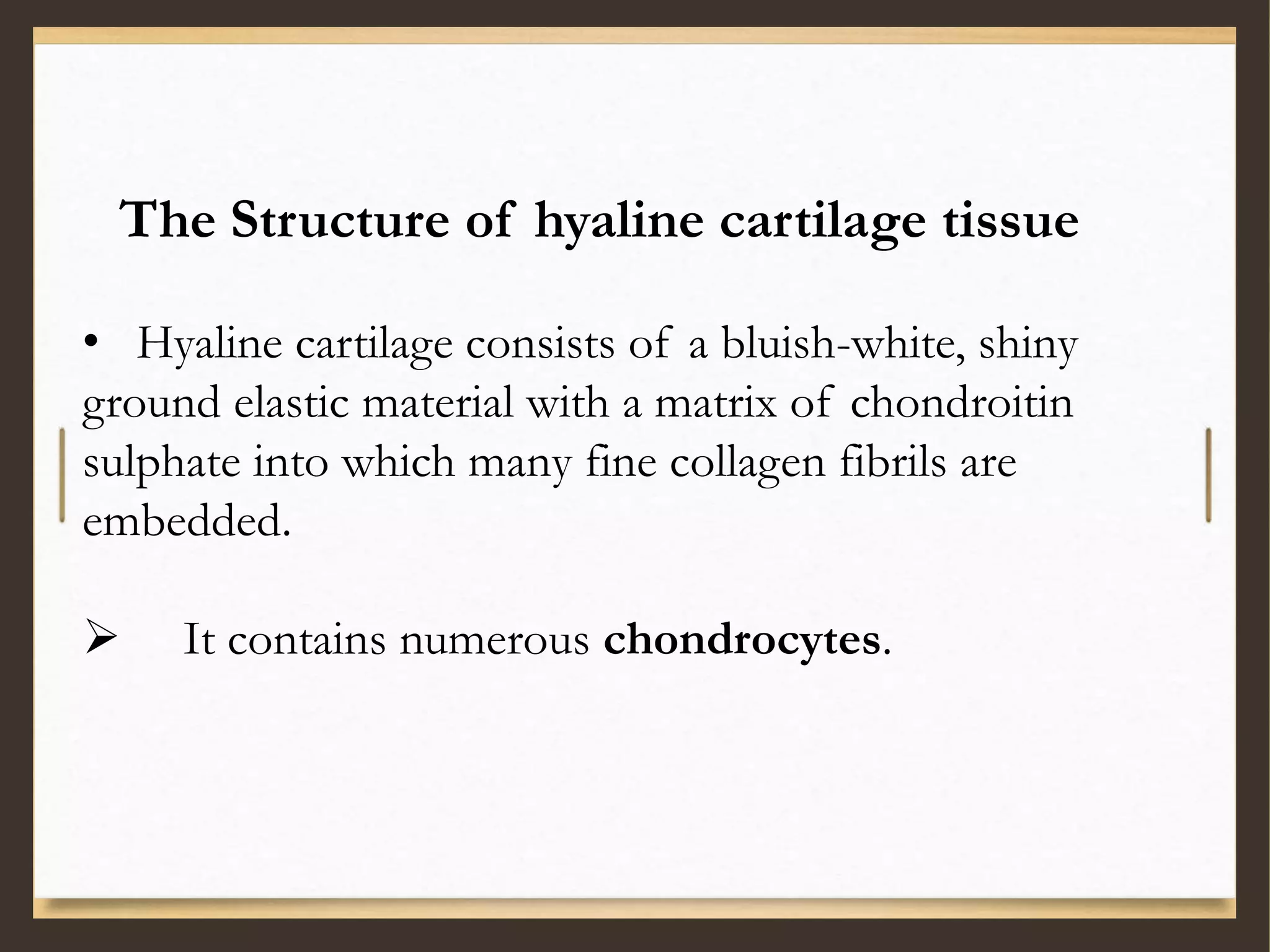 The Structure of hyaline cartilage tissue
• Hyaline cartilage consists of a bluish-white, shiny
ground elastic material with a matrix of chondroitin
sulphate into which many fine collagen fibrils are
embedded.
 It contains numerous chondrocytes.
 