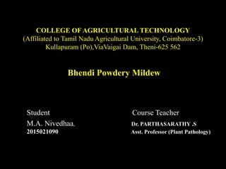 COLLEGE OF AGRICULTURAL TECHNOLOGY
(Affiliated to Tamil Nadu Agricultural University, Coimbatore-3)
Kullapuram (Po),ViaVaigai Dam, Theni-625 562
Bhendi Powdery Mildew
Student Course Teacher
M.A. Nivedhaa, Dr. PARTHASARATHY .S
2015021090 Asst. Professor (Plant Pathology)
 