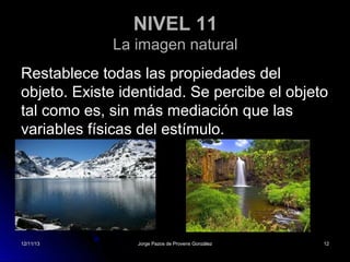 NIVEL 11
La imagen natural
Restablece todas las propiedades del
objeto. Existe identidad. Se percibe el objeto
tal como es, sin más mediación que las
variables físicas del estímulo.

12/11/13

Jorge Pazos de Provens González

12

 