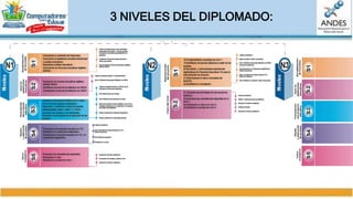 4 NIVELES DEL DIPLOMADO:
 
