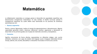 Matemática
La alfabetización matemática se consigue gracias al desarrollo de capacidades específicas que
denominamos compe...