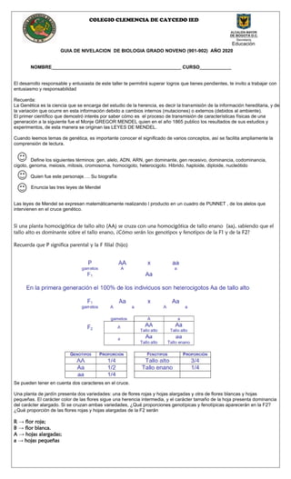 COLEGIO CLEMENCIA DE CAYCEDO IED
GUIA DE NIVELACION DE BIOLOGIA GRADO NOVENO (901-902) AÑO 2020
NOMBRE_________________________________________________ CURSO____________
El desarrollo responsable y entusiasta de este taller te permitirá superar logros que tienes pendientes, te invito a trabajar con
entusiasmo y responsabilidad
Recuerda:
La Genética es la ciencia que se encarga del estudio de la herencia, es decir la transmisión de la información hereditaria, y de
la variación que ocurre en esta información debido a cambios internos (mutaciones) o externos (debidos al ambiente).
El primer científico que demostró interés por saber cómo es el proceso de transmisión de características físicas de una
generación a la siguiente fue el Monje GREGOR MENDEL quien en el año 1865 publico los resultados de sus estudios y
experimentos, de esta manera se originan las LEYES DE MENDEL.
Cuando leemos temas de genética, es importante conocer el significado de varios conceptos, así se facilita ampliamente la
comprensión de lectura.
Define los siguientes términos: gen, alelo, ADN, ARN, gen dominante, gen recesivo, dominancia, codominancia,
cigoto, genoma, meiosis, mitosis, cromosoma, homocigoto, heterocigoto. Hibrido, haploide, diploide, nucleótido
Quien fue este personaje…. Su biografía
Enuncia las tres leyes de Mendel
Las leyes de Mendel se expresan matemáticamente realizando l producto en un cuadro de PUNNET , de los alelos que
intervienen en el cruce genético.
Si una planta homocigótica de tallo alto (AA) se cruza con una homocigótica de tallo enano (aa), sabiendo que el
tallo alto es dominante sobre el tallo enano, ¿Cómo serán los genotipos y fenotipos de la F1 y de la F2?
Recuerda que P significa parental y la F filial (hijo)
Se pueden tener en cuenta dos caracteres en el cruce.
Una planta de jardín presenta dos variedades: una de flores rojas y hojas alargadas y otra de flores blancas y hojas
pequeñas. El carácter color de las flores sigue una herencia intermedia, y el carácter tamaño de la hoja presenta dominancia
del carácter alargado. Si se cruzan ambas variedades, ¿Qué proporciones genotípicas y fenotípicas aparecerán en la F2?
¿Qué proporción de las flores rojas y hojas alargadas de la F2 serán
R → flor roja;
B → flor blanca.
A → hojas alargadas;
a → hojas pequeñas
 