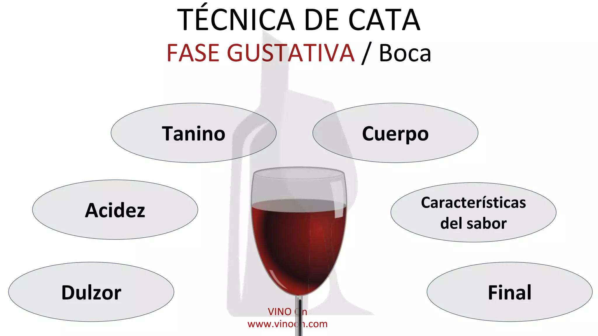 TÉCNICA DE CATA
FASE GUSTATIVA / Boca
Tanino
Características
del sabor
Dulzor
VINO On
www.vinoon.com
Acidez
Cuerpo
Final
 