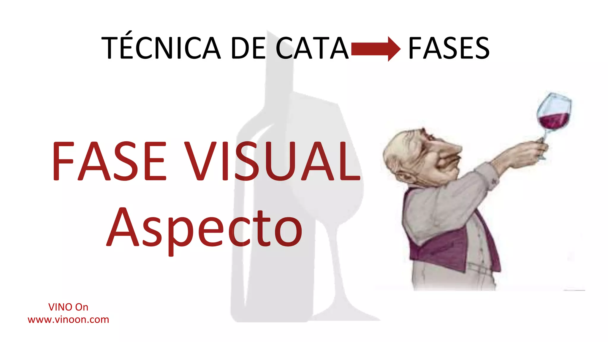 FASE VISUAL
Aspecto
TÉCNICA DE CATA FASES
VINO On
www.vinoon.com
 