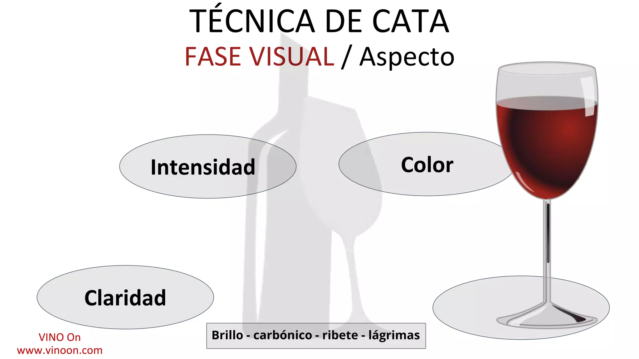 TÉCNICA DE CATA
FASE VISUAL / Aspecto
Intensidad
Brillo - carbónico - ribete - lágrimas
Color
Claridad
VINO On
www.vinoon.com
 