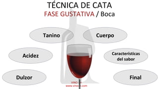 Nivel básico de la técnica de cata de vinos.presentación.pptx