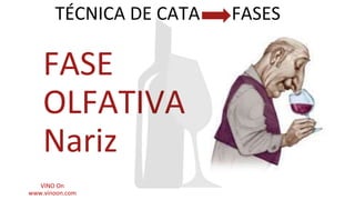 FASE
OLFATIVA
Nariz
TÉCNICA DE CATA FASES
VINO On
www.vinoon.com
 