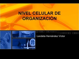 NIVEL CELULAR DE
ORGANIZACIÓN
Landeta Hernández Víctor
 