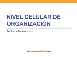 NIVEL CELULAR DE 
ORGANIZACIÓN 
Anatomía Microscópica 
ANATOMOFISIOLOGÍA HUMANAA 
 