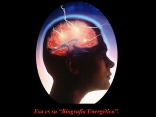Esa es su “Biografía Energética”. 