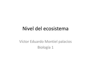 Nivel del ecosistema  Víctor Eduardo Montiel palacios  Biología 1 
