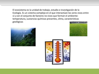 El ecosistema es la unidad de trabajo, estudio e investigación de la Ecología. Es un sistema complejo en el que interactúan los seres vivos entre sí y con el conjunto de factores no vivos que forman el ambiente: temperatura, sustancias químicas presentes, clima, características geológicas 