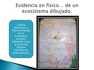 Cadena
  alimenticia y
flujo de energía
       en un
   ecosistema
     acuático;
reflejando como
   la mano del
      hombre
  interfiere en
 dicho proceso.
 