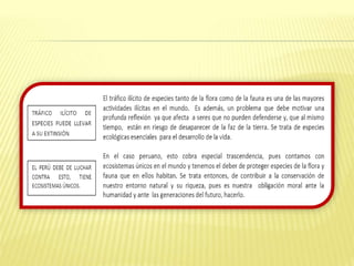 niveles..subrayado,,sumillado de comprensión de textos.pptx