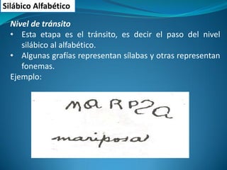 Silábico Alfabético 
Nivel de tránsito 
•Esta etapa es el tránsito, es decir el paso del nivel silábico al alfabético. 
•Algunas grafías representan sílabas y otras representan fonemas. Ejemplo:  