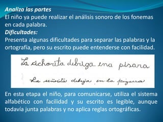 Analiza las partes 
El niño ya puede realizar el análisis sonoro de los fonemas 
en cada palabra. 
Dificultades: 
Presenta algunas dificultades para separar las palabras y la 
ortografía, pero su escrito puede entenderse con facilidad. 
En esta etapa el niño, para comunicarse, utiliza el sistema 
alfabético con facilidad y su escrito es legible, aunque 
todavía junta palabras y no aplica reglas ortográficas. 
 