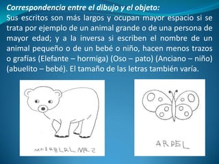 Correspondencia entre el dibujo y el objeto: 
Sus escritos son más largos y ocupan mayor espacio si se 
trata por ejemplo de un animal grande o de una persona de 
mayor edad; y a la inversa si escriben el nombre de un 
animal pequeño o de un bebé o niño, hacen menos trazos 
o grafías (Elefante – hormiga) (Oso – pato) (Anciano – niño) 
(abuelito – bebé). El tamaño de las letras también varía. 
 